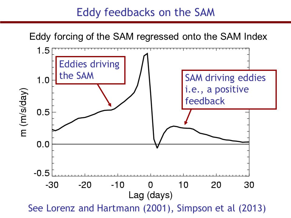 Eddy feedbacks on the SAM Eddies driving the SAM SAM driving eddies i.e., a positive feedback See Lorenz and Hartmann (2001), Simpson et al (2013) Eddy forcing of the SAM regressed onto the SAM Index