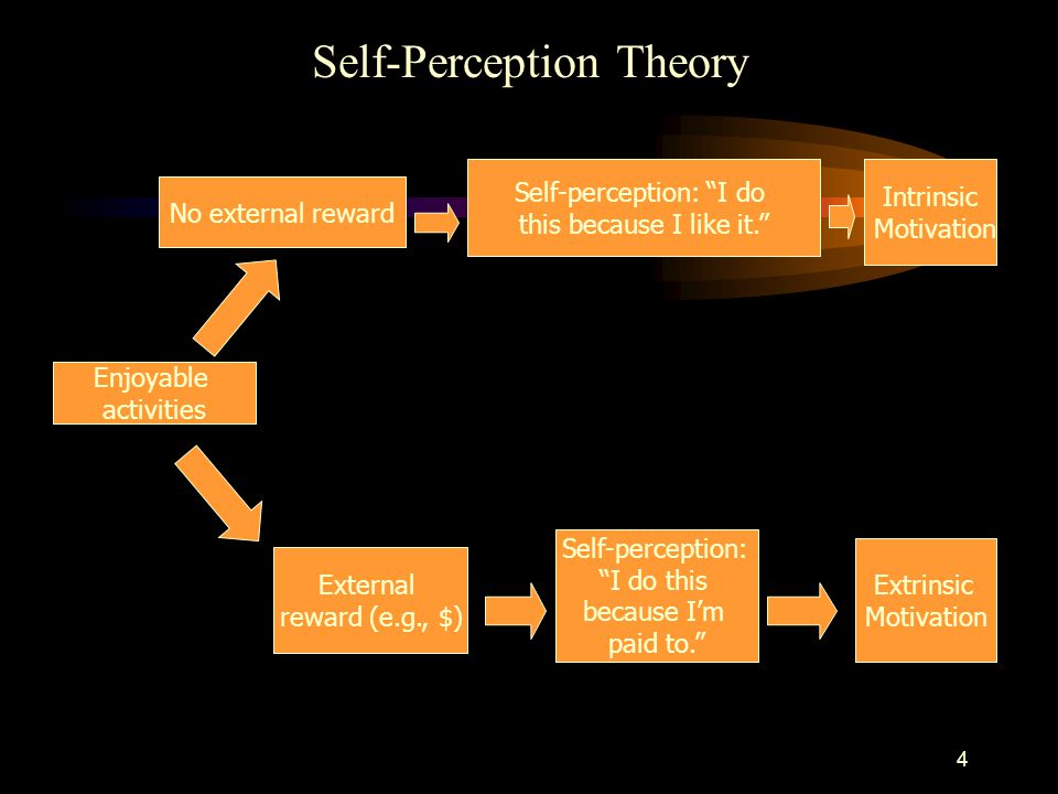 self perception theory