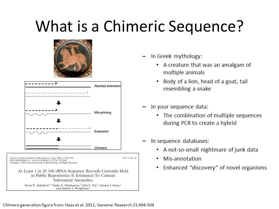 What is a Chimeric Sequence.