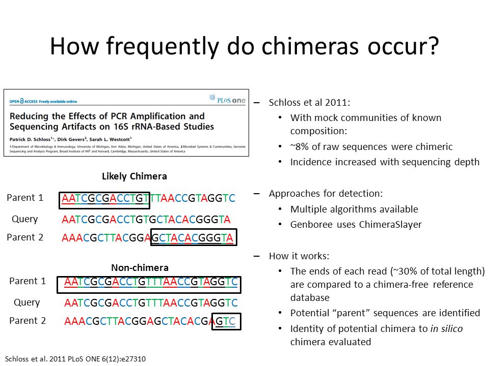 How frequently do chimeras occur.