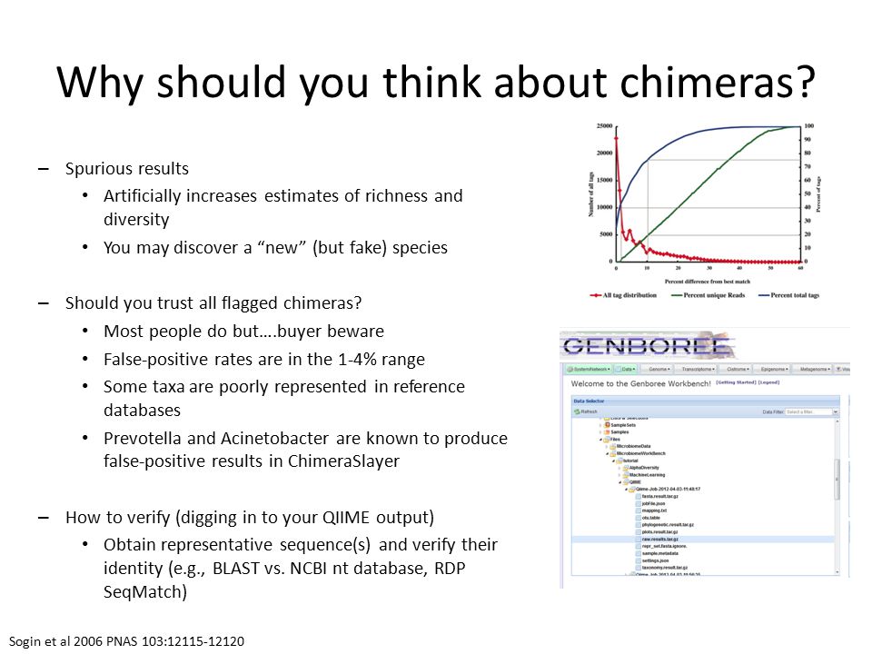 Why should you think about chimeras.