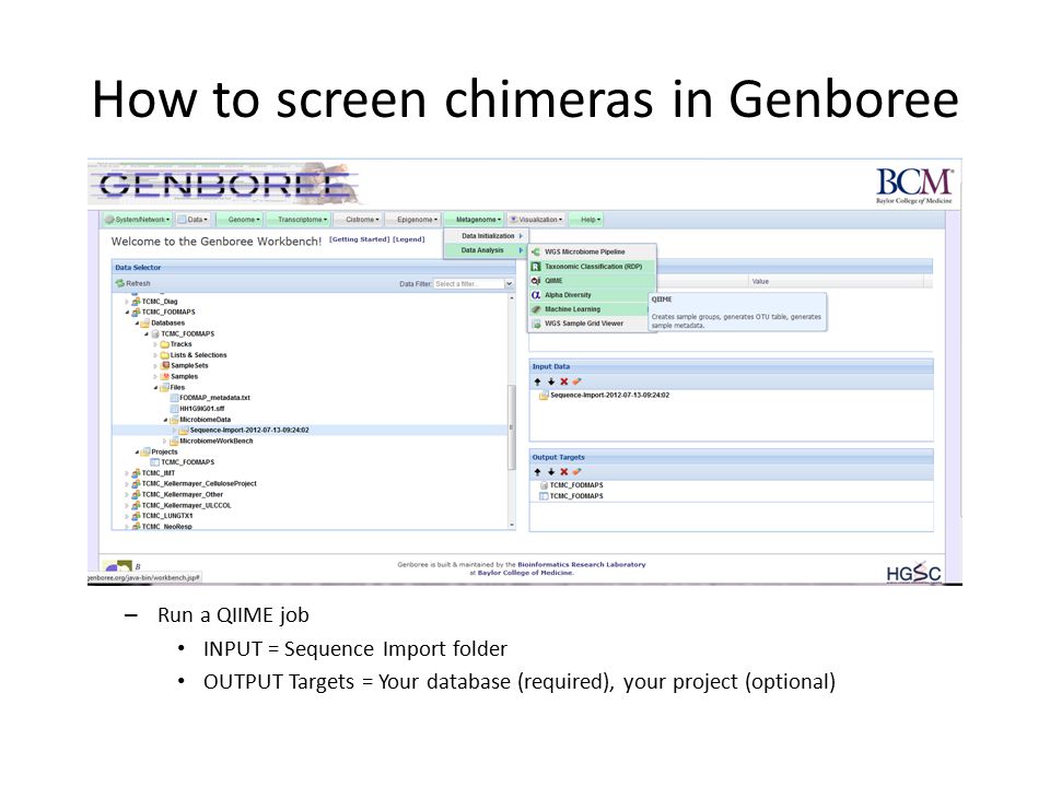 How to screen chimeras in Genboree – Run a QIIME job INPUT = Sequence Import folder OUTPUT Targets = Your database (required), your project (optional)