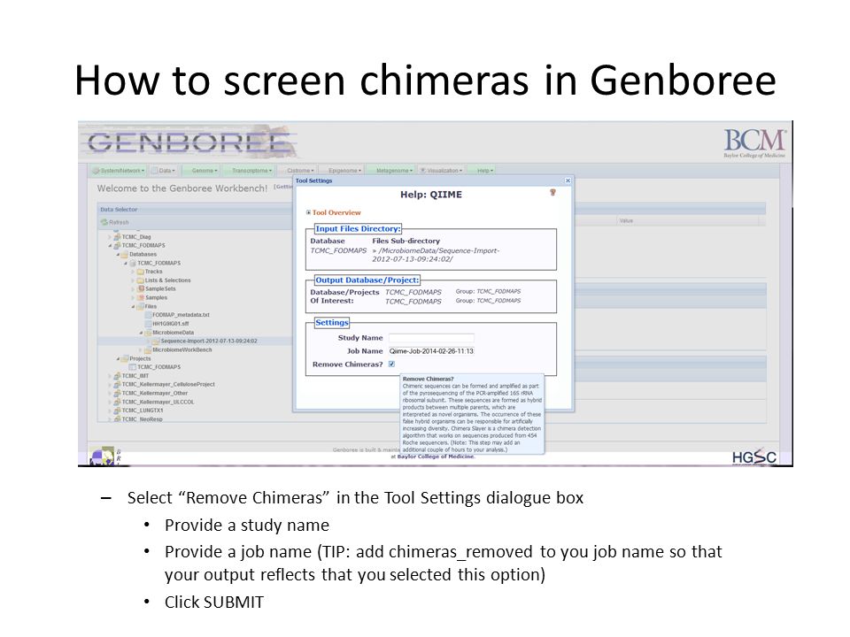 How to screen chimeras in Genboree – Select Remove Chimeras in the Tool Settings dialogue box Provide a study name Provide a job name (TIP: add chimeras_removed to you job name so that your output reflects that you selected this option) Click SUBMIT