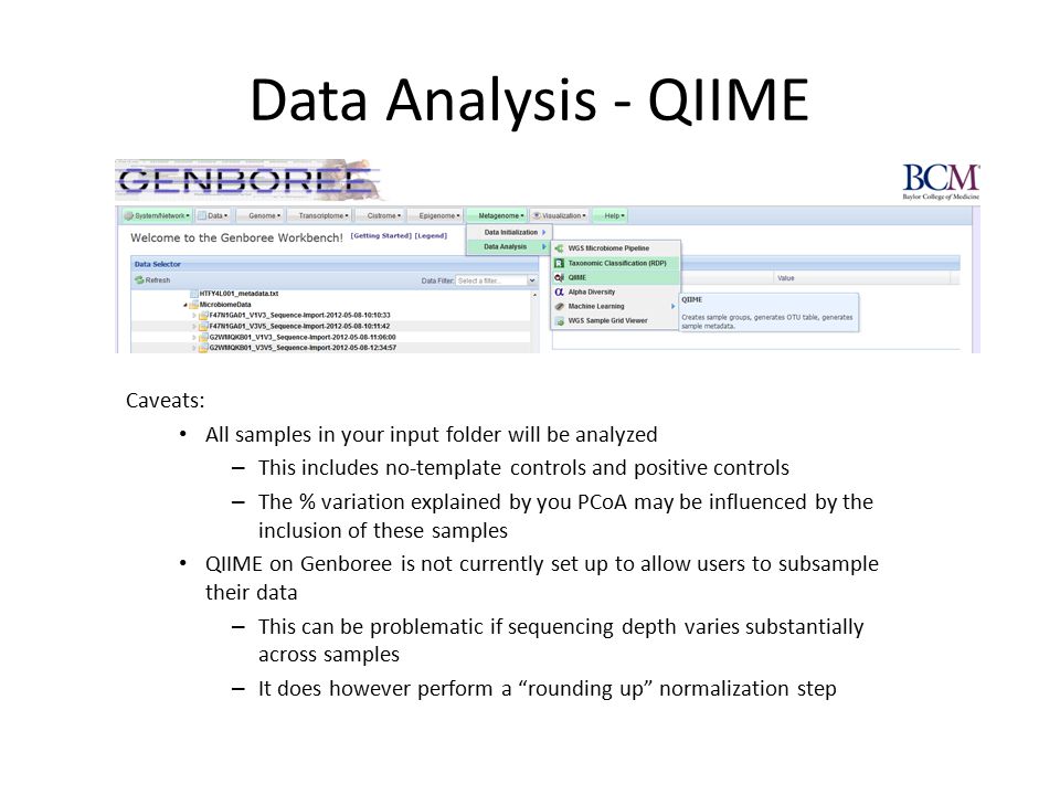 Data Analysis - QIIME Caveats: All samples in your input folder will be analyzed – This includes no-template controls and positive controls – The % variation explained by you PCoA may be influenced by the inclusion of these samples QIIME on Genboree is not currently set up to allow users to subsample their data – This can be problematic if sequencing depth varies substantially across samples – It does however perform a rounding up normalization step