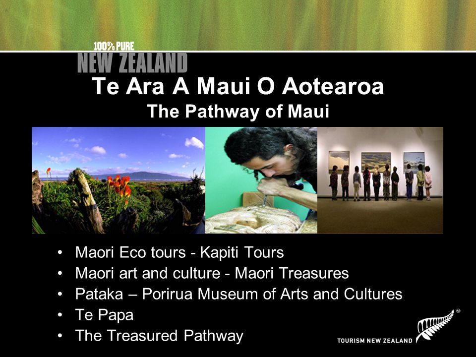 Te Ara A Maui O Aotearoa The Pathway of Maui Maori Eco tours - Kapiti Tours Maori art and culture - Maori Treasures Pataka – Porirua Museum of Arts and Cultures Te Papa The Treasured Pathway