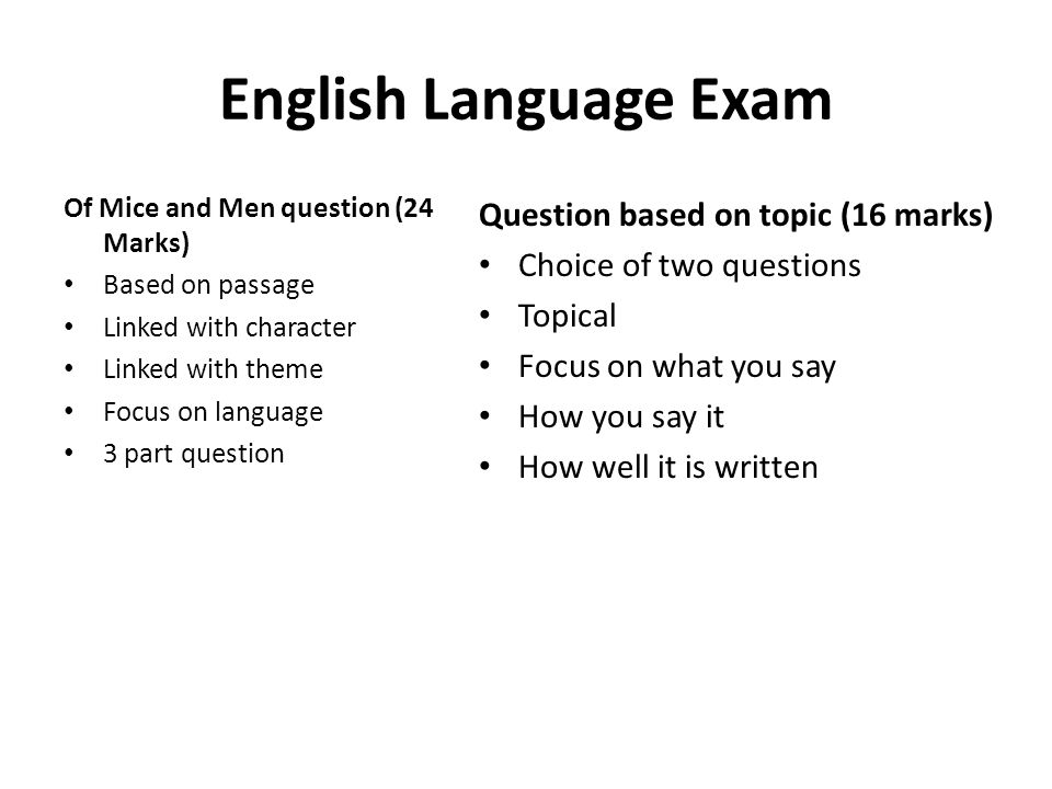 Essay About English Language