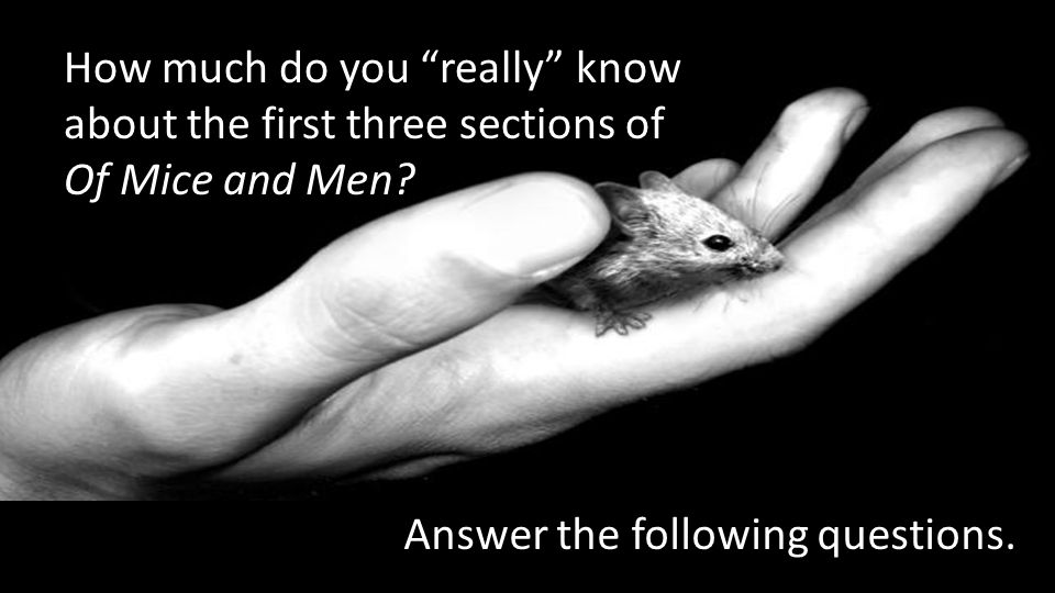 How much do you really know about the first three sections of Of Mice and Men.