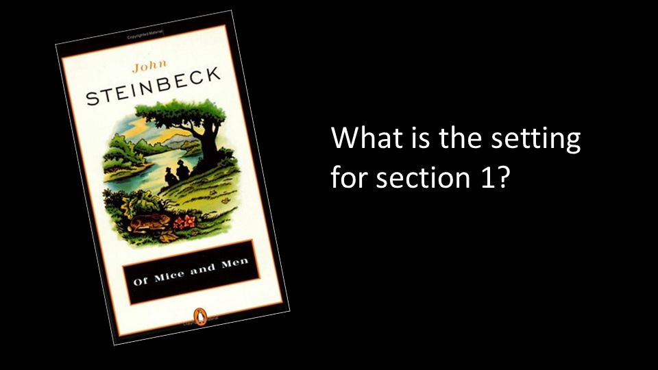 What is the setting for section 1