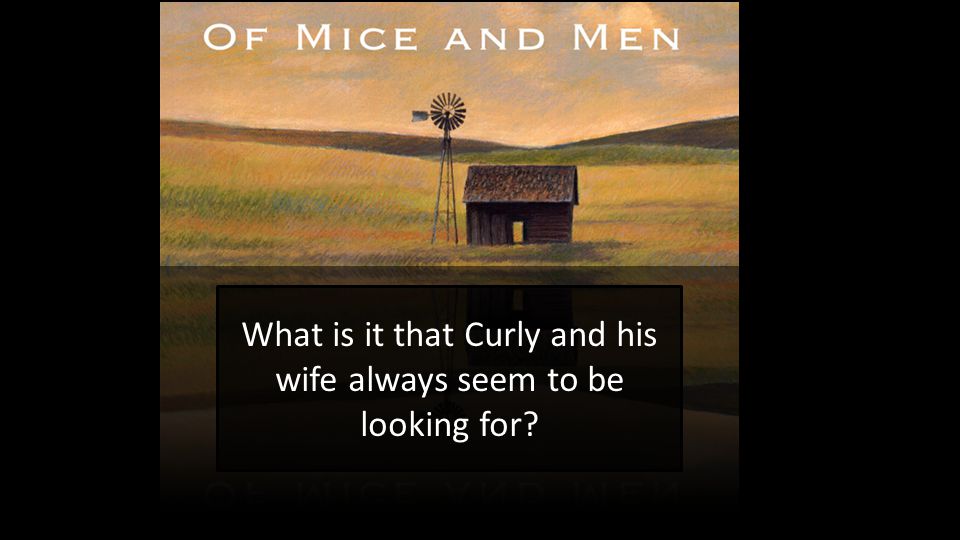 What is it that Curly and his wife always seem to be looking for