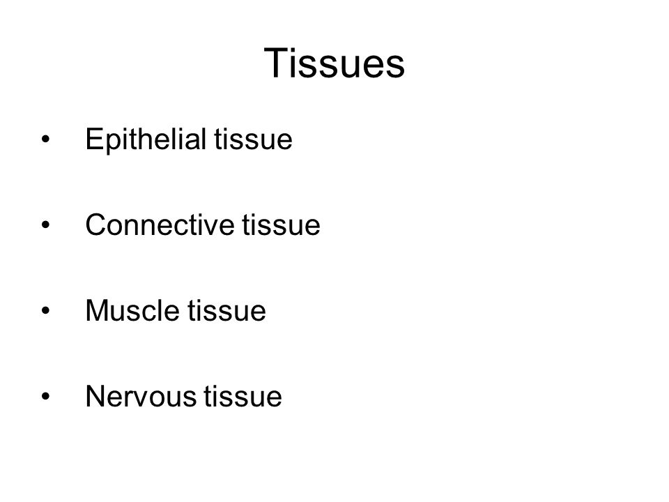 how do cells form tissues tissues using cell junctions ppt download how do cells form