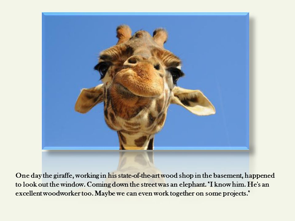 One day the giraffe, working in his state-of-the-art wood shop in the basement, happened to look out the window.