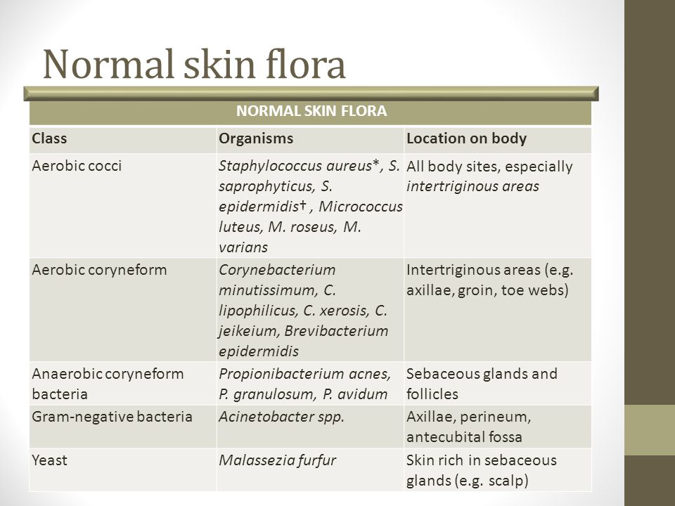 bacterial infections 07 02 ppt download skin flora