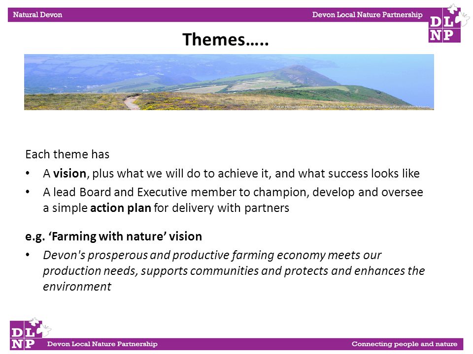 Each theme has A vision, plus what we will do to achieve it, and what success looks like A lead Board and Executive member to champion, develop and oversee a simple action plan for delivery with partners e.g.