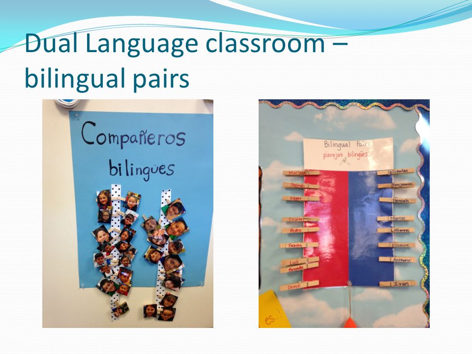 Dual Language classroom – bilingual pairs