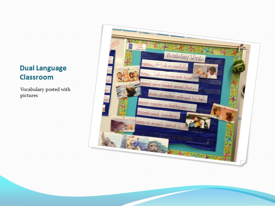 Dual Language Classroom Vocabulary posted with pictures