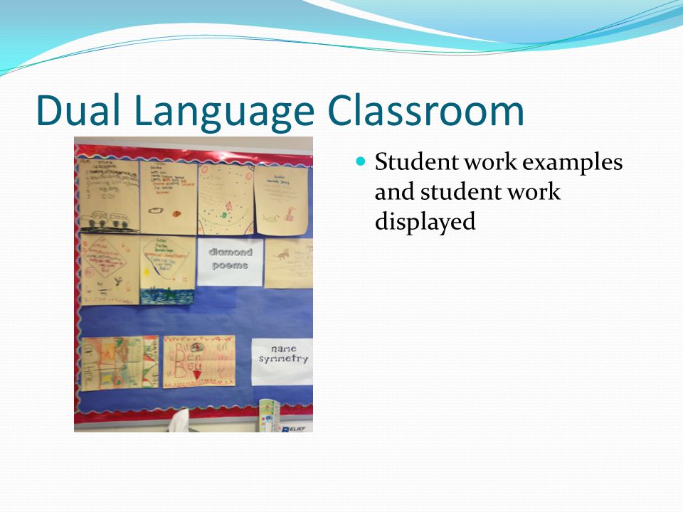 Dual Language Classroom Student work examples and student work displayed
