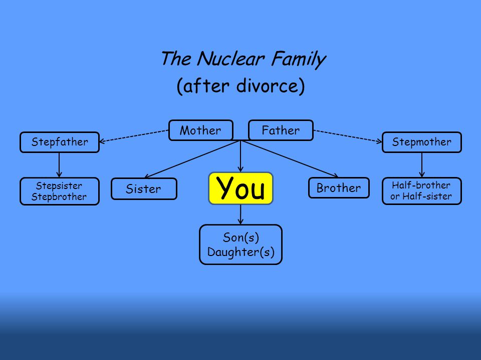 You Brother Son(s) Daughter(s) Mother Father Sister The Nuclear Family (after divorce) Half-brother or Half-sister Stepmother Stepsister Stepbrother Stepfather