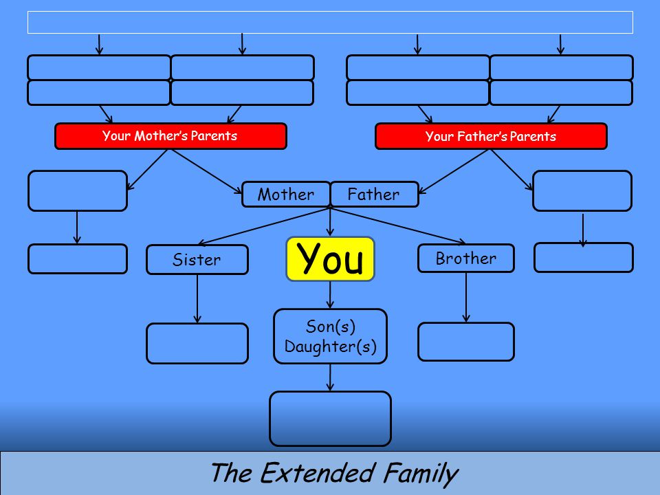You Brother Son(s) Daughter(s) MotherFather Sister The Extended Family Your Mother’s Parents Your Father’s Parents