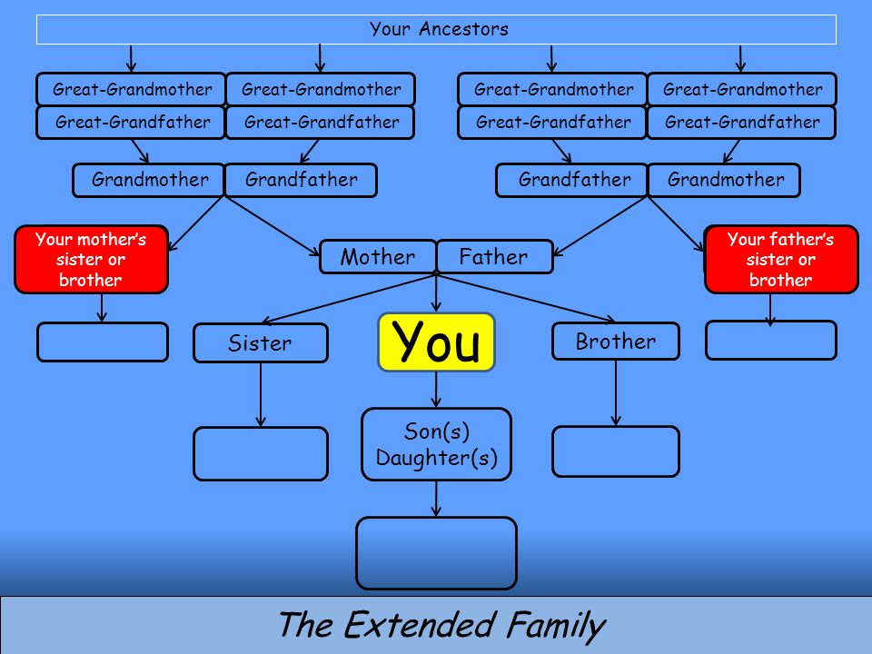 You Brother Son(s) Daughter(s) MotherFather Sister The Extended Family Grandfather Grandmother Grandfather Great-Grandfather Great-Grandmother Great-Grandfather Great-Grandmother Great-Grandfather Great-Grandmother Great-Grandfather Great-Grandmother Your Ancestors Your mother’s sister or brother Your father’s sister or brother