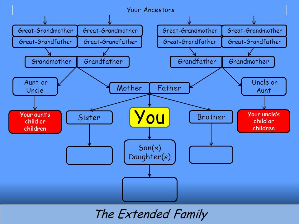 You Brother Son(s) Daughter(s) MotherFather Sister The Extended Family Grandfather Grandmother Grandfather Great-Grandfather Great-Grandmother Great-Grandfather Great-Grandmother Great-Grandfather Great-Grandmother Great-Grandfather Great-Grandmother Aunt or Uncle Uncle or Aunt Your Ancestors Your aunt’s child or children Your uncle’s child or children