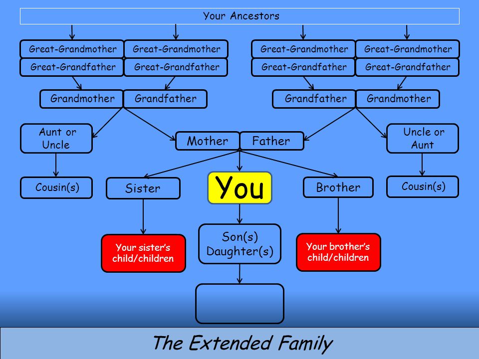 You Brother Son(s) Daughter(s) MotherFather Sister The Extended Family Grandfather Grandmother Grandfather Great-Grandfather Great-Grandmother Great-Grandfather Great-Grandmother Great-Grandfather Great-Grandmother Great-Grandfather Great-Grandmother Aunt or Uncle Uncle or Aunt Cousin(s) Your Ancestors Your sister’s child/children Your brother’s child/children
