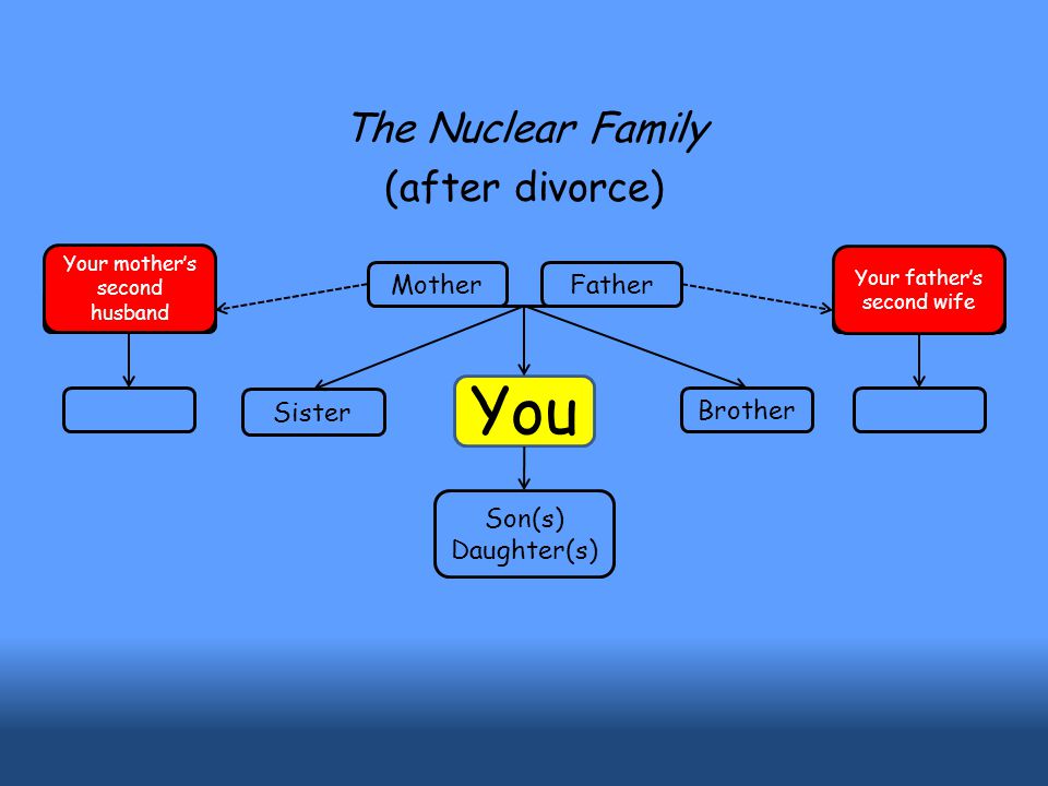 You Brother Son(s) Daughter(s) Mother Father Sister The Nuclear Family (after divorce) Your mother’s second husband Your father’s second wife