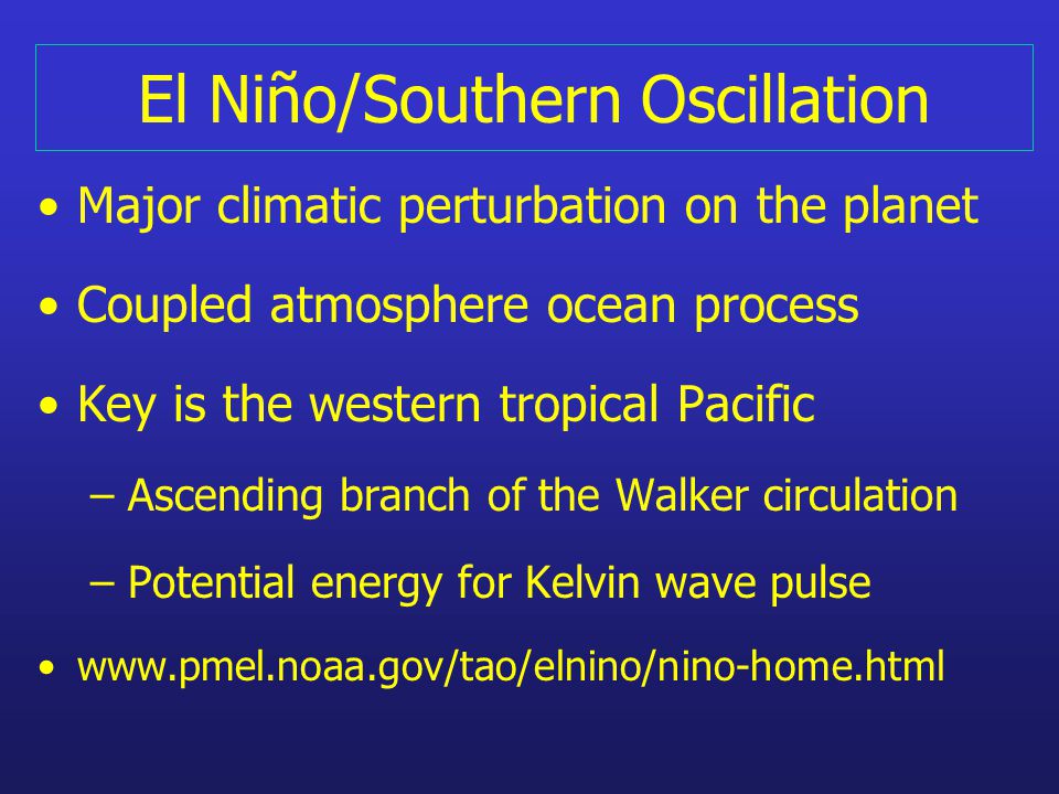 El Niño/Southern Oscillation Major climatic perturbation on the planet Coupled atmosphere ocean process Key is the western tropical Pacific – Ascending branch of the Walker circulation – Potential energy for Kelvin wave pulse