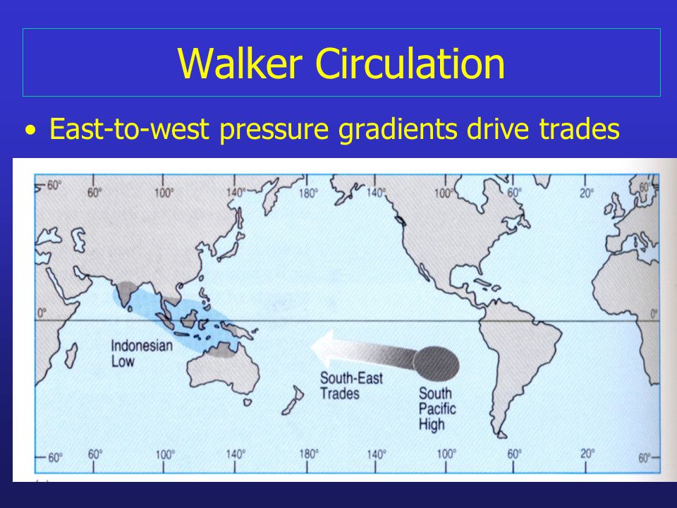 Walker Circulation East-to-west pressure gradients drive trades