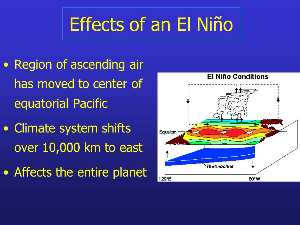 Effects of an El Niño Region of ascending air has moved to center of equatorial Pacific Climate system shifts over 10,000 km to east Affects the entire planet