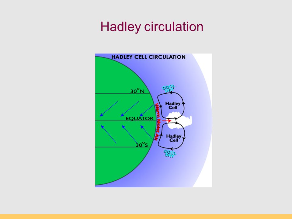 Hadley circulation