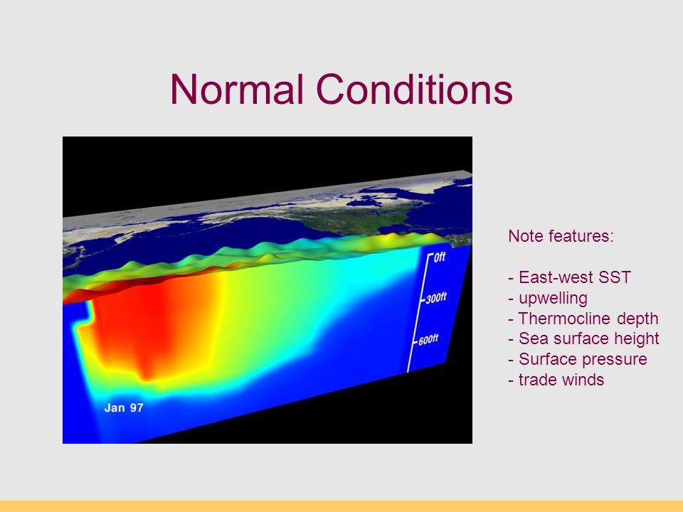 Normal Conditions Note features: - East-west SST - upwelling - Thermocline depth - Sea surface height - Surface pressure - trade winds