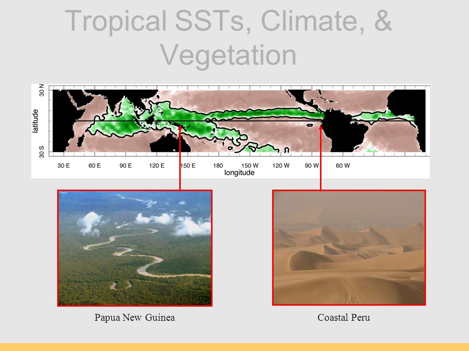 Tropical SSTs, Climate, & Vegetation Papua New GuineaCoastal Peru