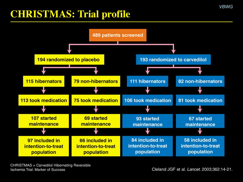 CHRISTMAS: Trial profile