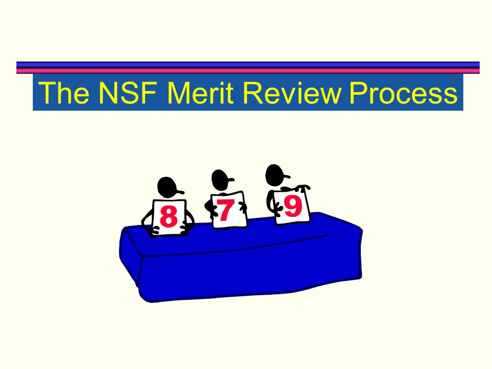 The NSF Merit Review Process