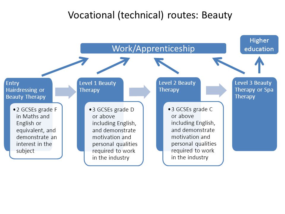 Vocational (technical) routes: Beauty Level 1 Beauty Therapy 3 GCSEs grade D or above including English, and demonstrate motivation and personal qualities required to work in the industry Level 2 Beauty Therapy Level 3 Beauty Therapy or Spa Therapy Entry Hairdressing or Beauty Therapy 2 GCSEs grade F in Maths and English or equivalent, and demonstrate an interest in the subject 3 GCSEs grade C or above including English, and demonstrate motivation and personal qualities required to work in the industry Work/Apprenticeship Higher education