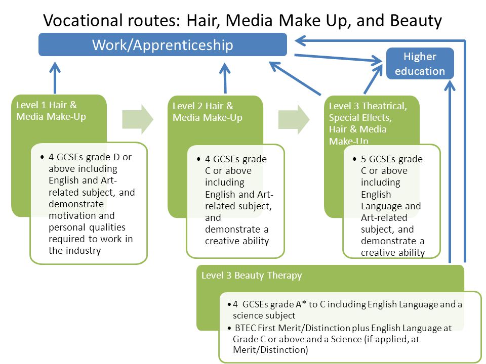 Vocational routes: Hair, Media Make Up, and Beauty Level 3 Beauty Therapy 4 GCSEs grade A* to C including English Language and a science subject BTEC First Merit/Distinction plus English Language at Grade C or above and a Science (if applied, at Merit/Distinction) Level 1 Hair & Media Make-Up 4 GCSEs grade D or above including English and Art- related subject, and demonstrate motivation and personal qualities required to work in the industry Level 2 Hair & Media Make-Up 4 GCSEs grade C or above including English and Art- related subject, and demonstrate a creative ability Level 3 Theatrical, Special Effects, Hair & Media Make-Up 5 GCSEs grade C or above including English Language and Art-related subject, and demonstrate a creative ability Work/Apprenticeship Higher education