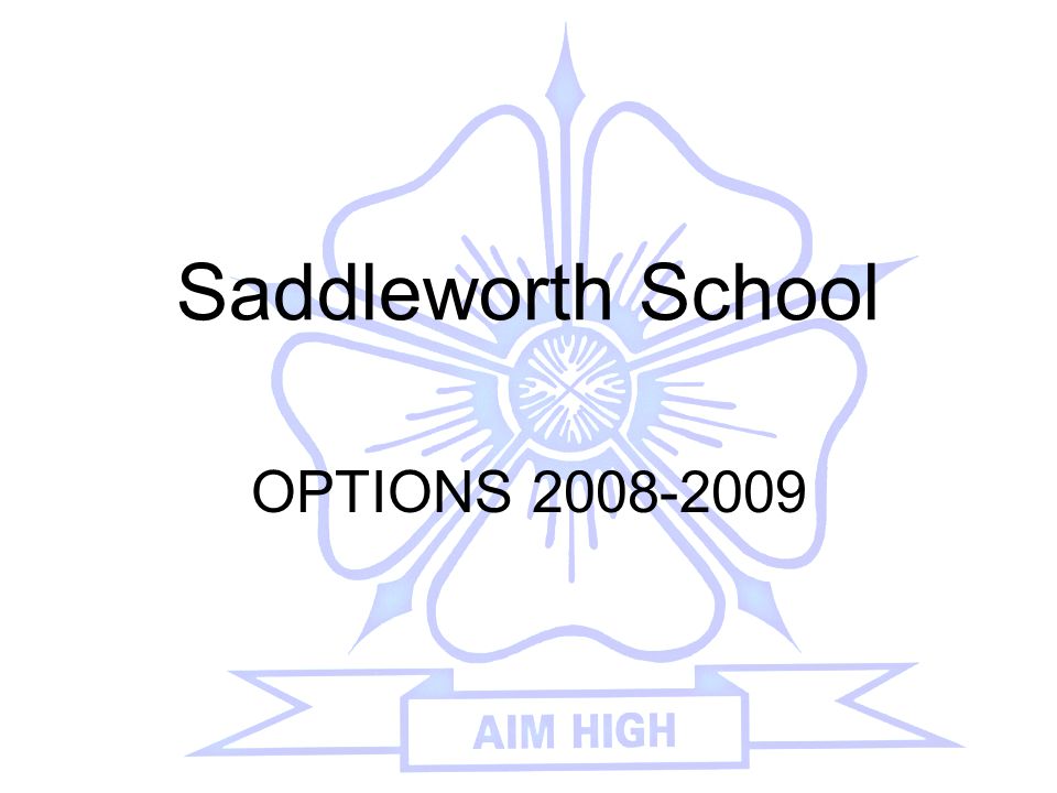 Saddleworth School OPTIONS