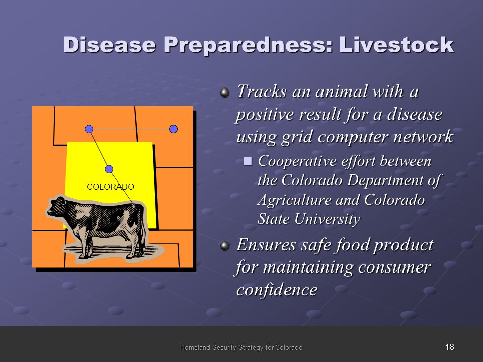 18 Homeland Security Strategy for Colorado Disease Preparedness: Livestock Tracks an animal with a positive result for a disease using grid computer network Cooperative effort between the Colorado Department of Agriculture and Colorado State University Cooperative effort between the Colorado Department of Agriculture and Colorado State University Ensures safe food product for maintaining consumer confidence COLORADO