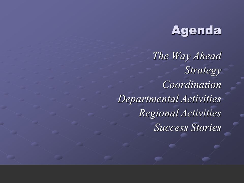 Agenda Agenda The Way Ahead StrategyCoordination Departmental Activities Regional Activities Success Stories