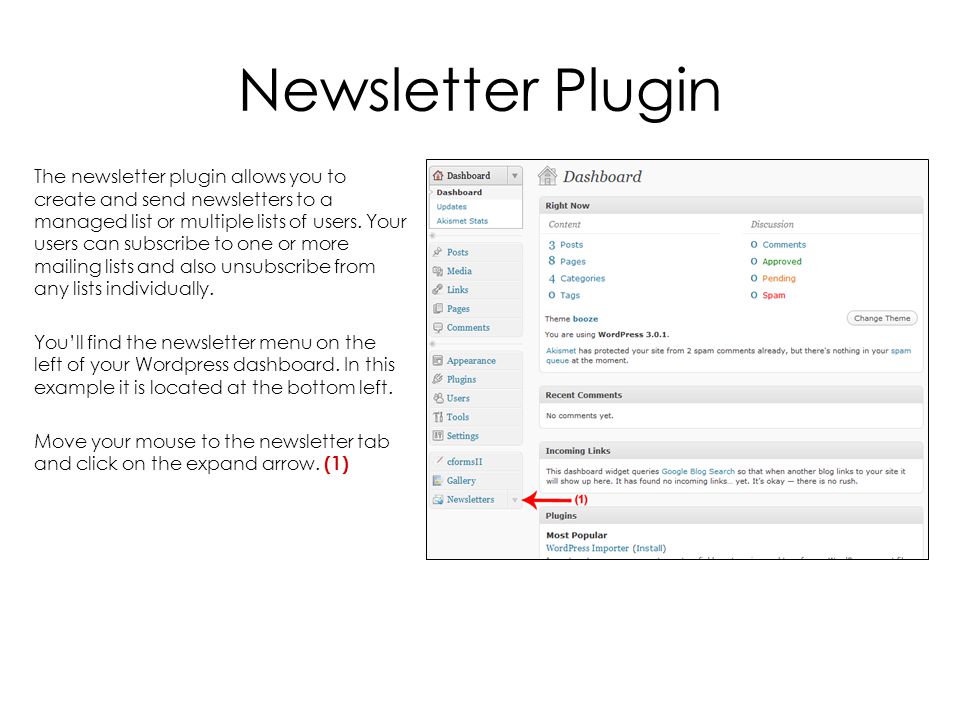 Newsletter Plugin The newsletter plugin allows you to create and send newsletters to a managed list or multiple lists of users.