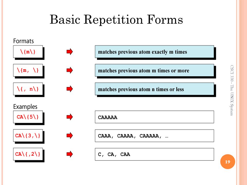 CSCI The UNIX System 19 Basic Repetition Forms