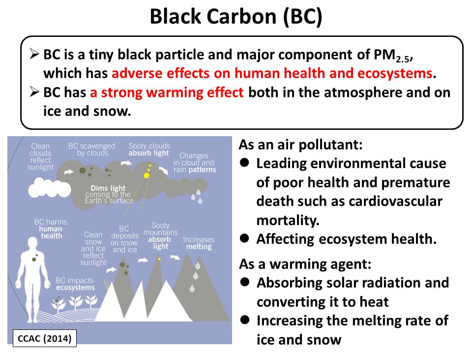 Black Carbon (BC)  BC is a tiny black particle and major component of PM 2.5, which has adverse effects on human health and ecosystems.