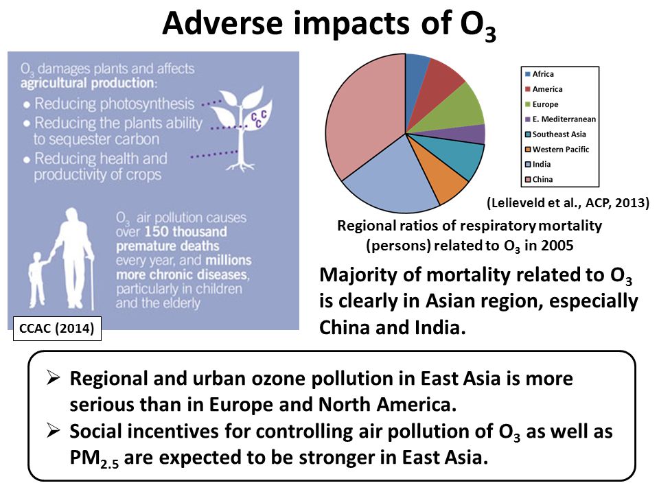 Adverse impacts of O 3  Regional and urban ozone pollution in East Asia is more serious than in Europe and North America.