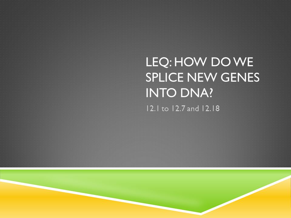 LEQ: HOW DO WE SPLICE NEW GENES INTO DNA 12.1 to 12.7 and 12.18