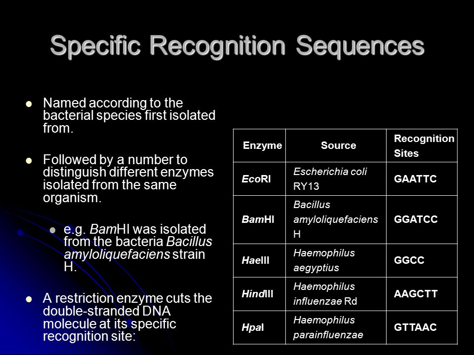 Specific Recognition Sequences Named according to the bacterial species first isolated from.