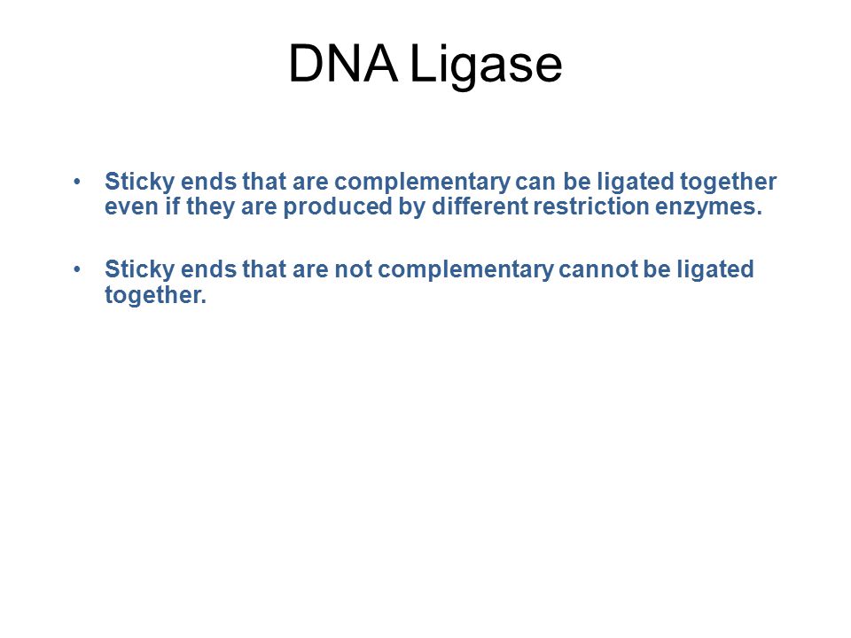 DNA Ligase Sticky ends that are complementary can be ligated together even if they are produced by different restriction enzymes.