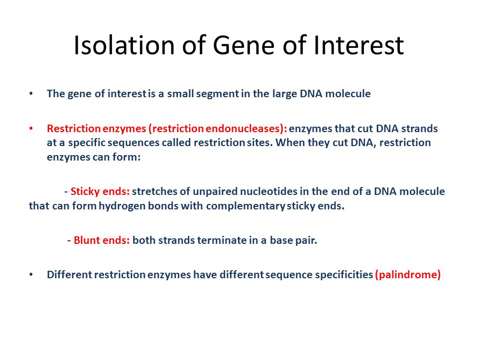Isolation of Gene of Interest The gene of interest is a small segment in the large DNA molecule Restriction enzymes (restriction endonucleases): enzymes that cut DNA strands at a specific sequences called restriction sites.