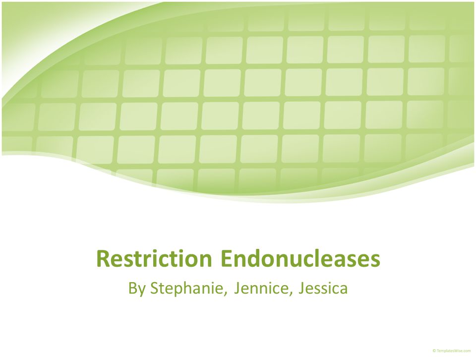 Restriction Endonucleases By Stephanie, Jennice, Jessica