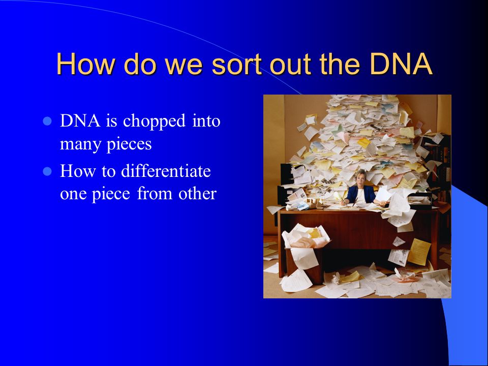 How do we sort out the DNA DNA is chopped into many pieces How to differentiate one piece from other