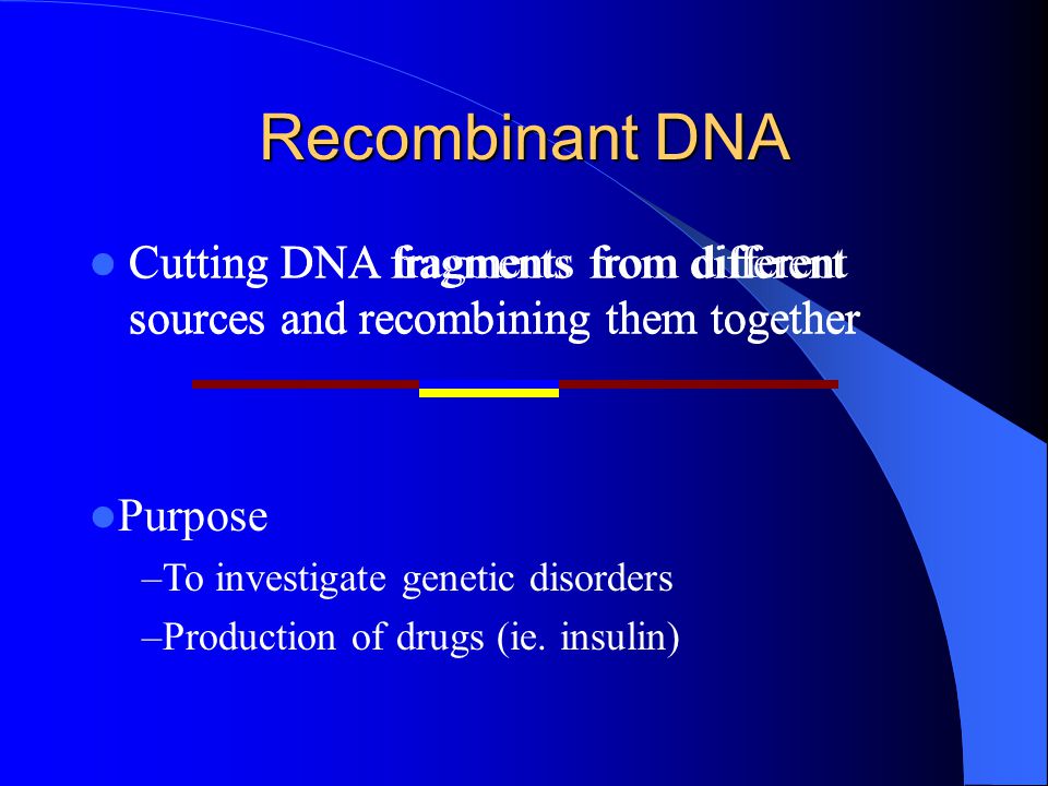 Recombinant DNA Cutting DNA fragments from different sources and recombining them together Purpose –To investigate genetic disorders –Production of drugs (ie.
